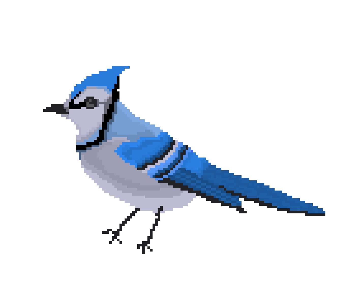 [9664c4] Blue jay