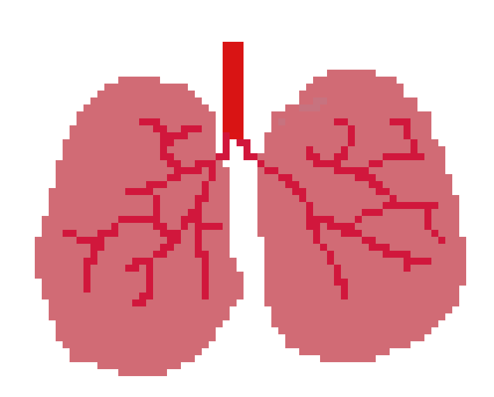 [401978] pixel lungs