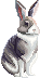 [e7d875] easter_ca_28