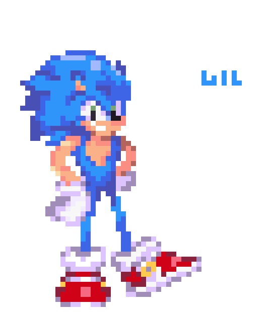 [e66d63] sonic