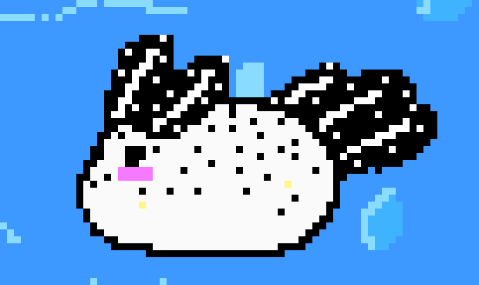[9664c4] Sea Bunny