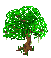 [aece6a] A living tree