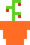 [df8de1] Tomato 3