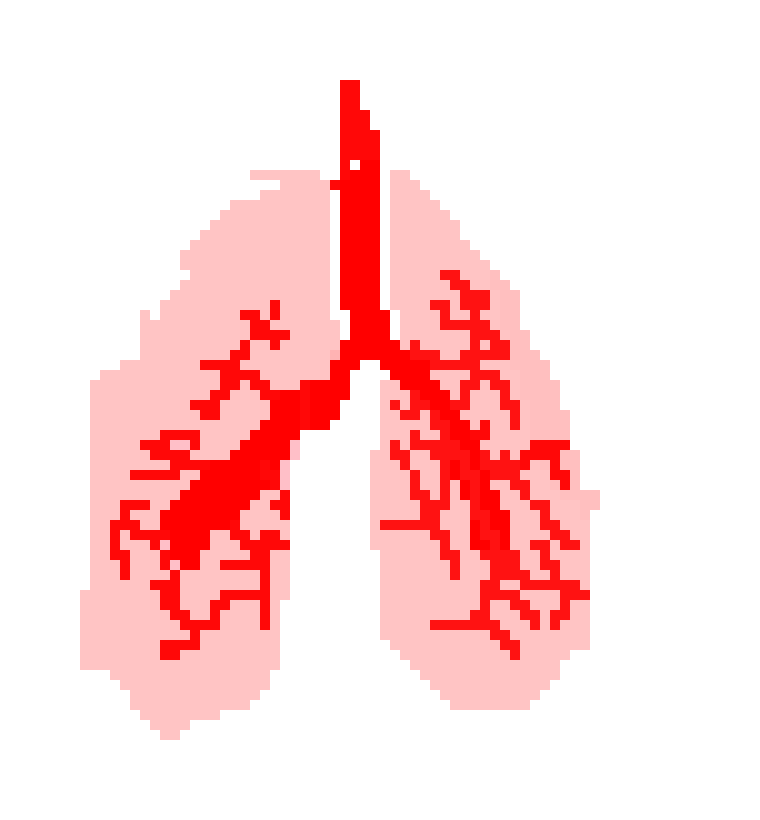 [2b4978] Pixel lungs- Paul