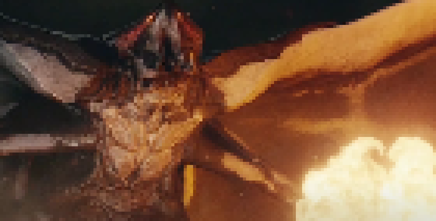 [506dc7] Male Muto