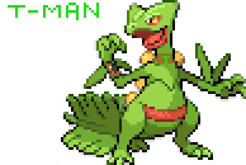 [f8d4d8] t man the sceptile with mega stone on right wrist