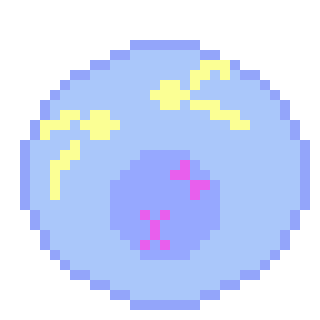 [ed9d9b] Prophase