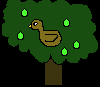 [719e52] A partridge in a pear tree