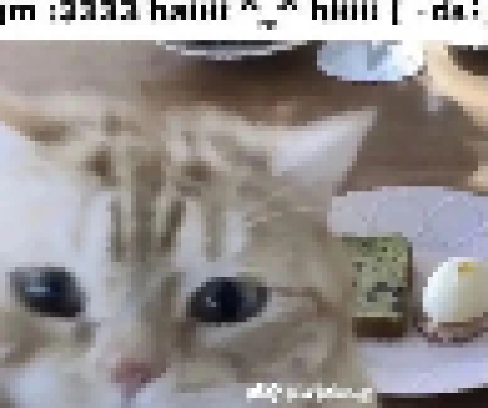 [7dc876]  hi hello hey hi hiii hey hi hi hellooo hi hello hello hey hi hi hi hello hey hi hii h
