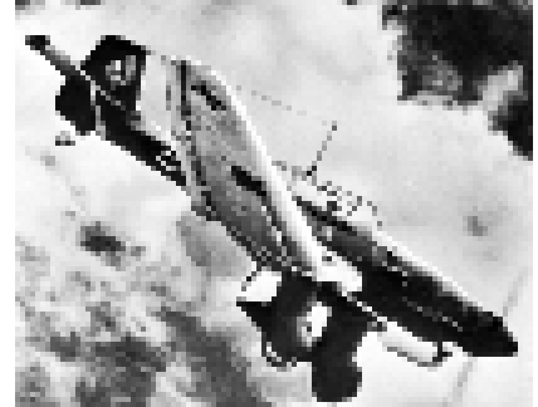 also the stukas real name is the JUNKERS ju-87