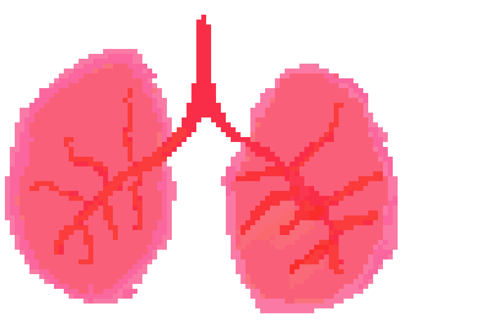 [0cac1d] lungs