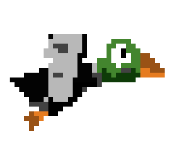 [9664c4] duck2