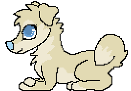 [9664c4] Shiba