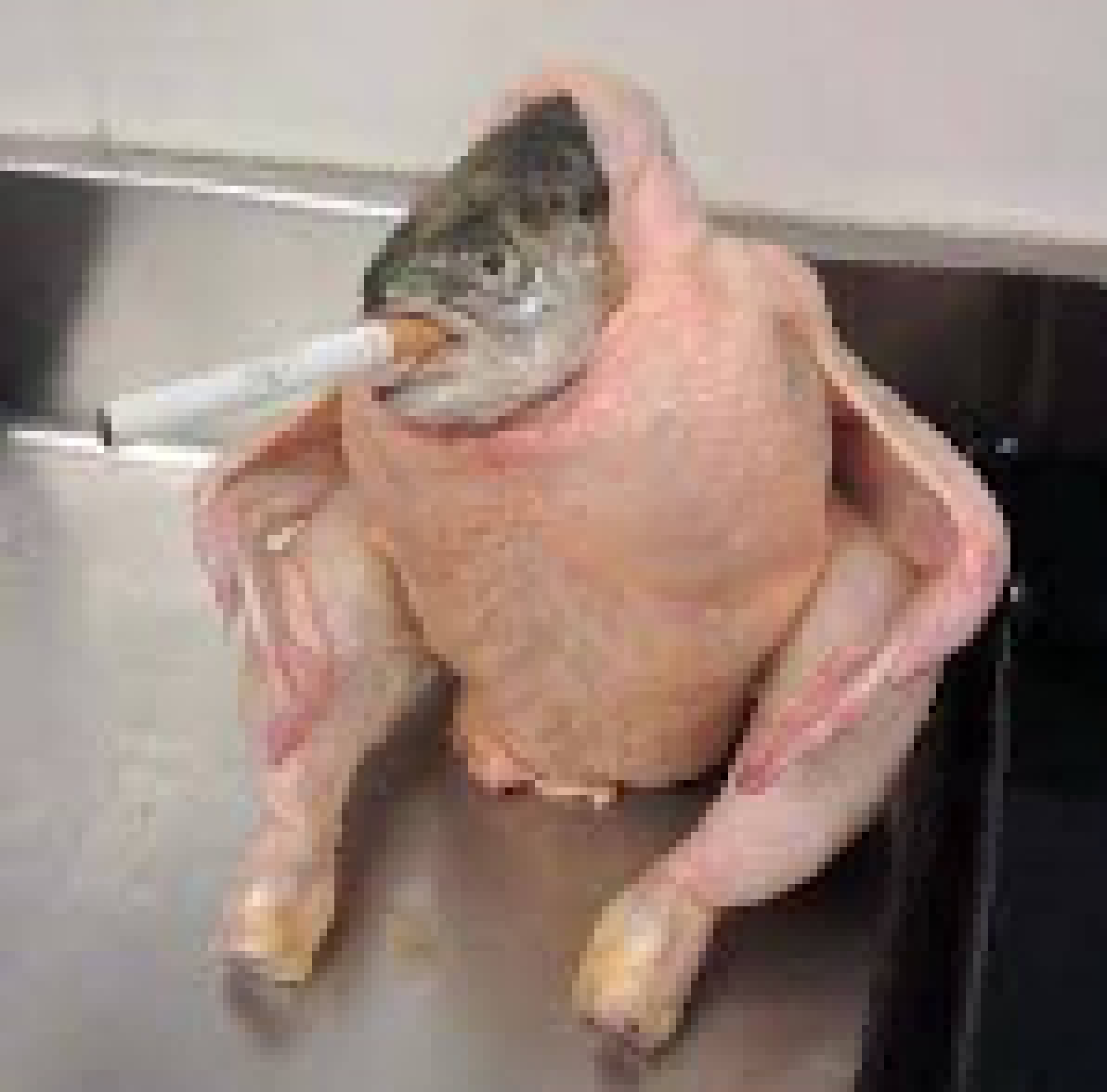 [990543] Smoking 