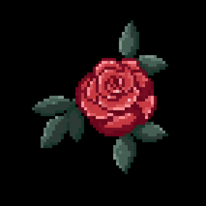 Rosa