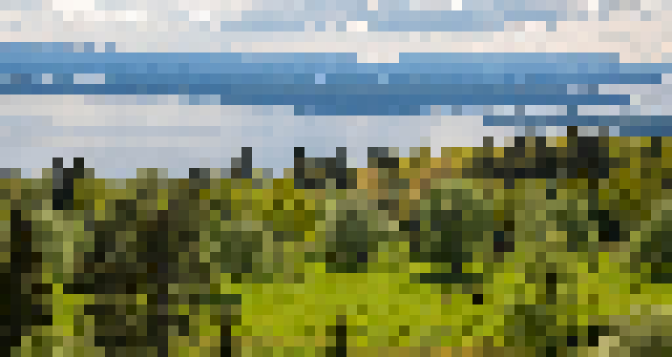 [fce57c] Untitled