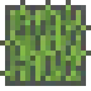 [135a3f] grass