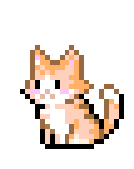 [591610] cat