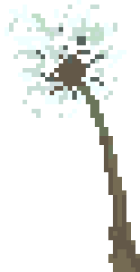 [100cc3] dandelion3