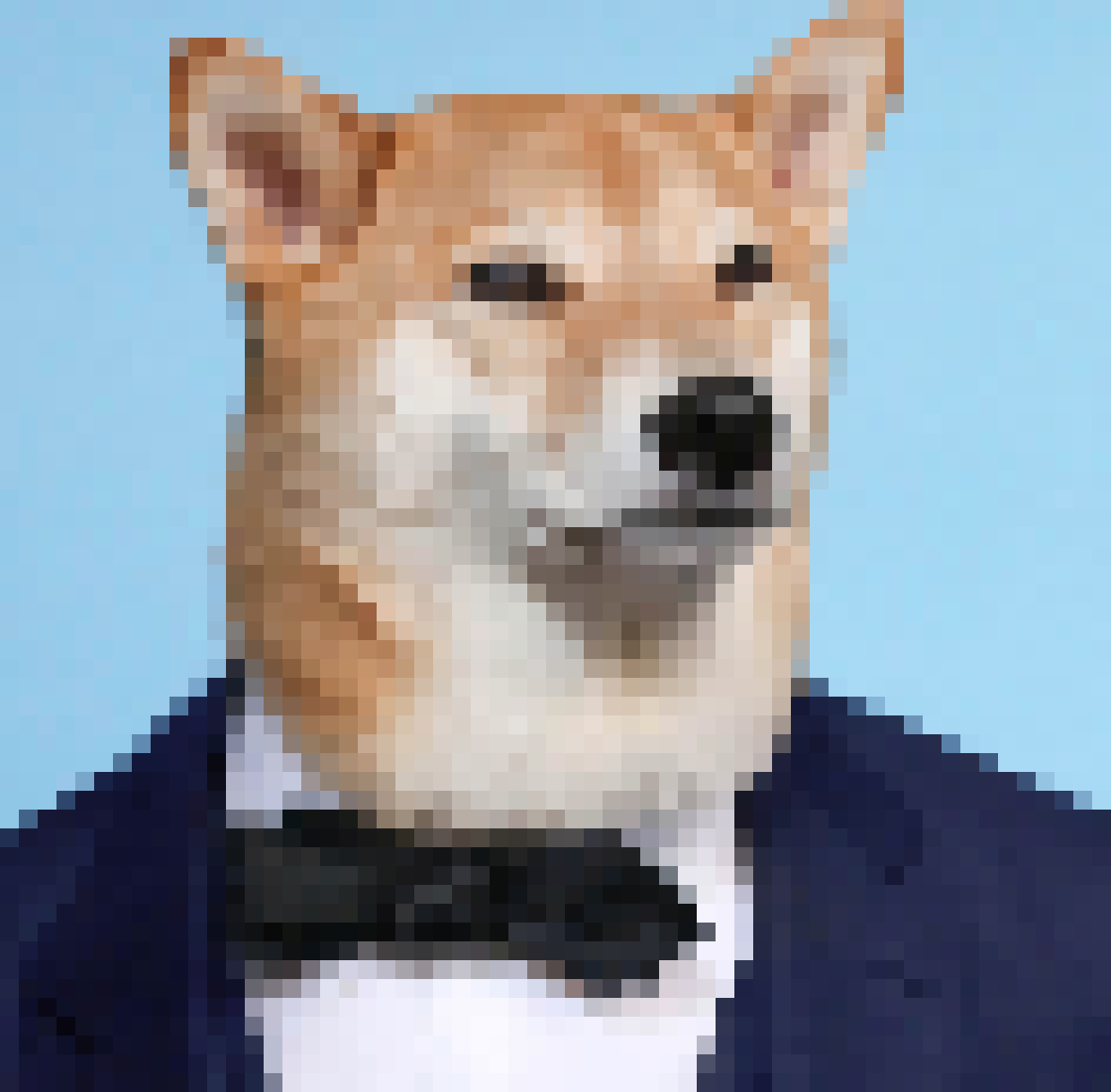 [cdbdda] dog