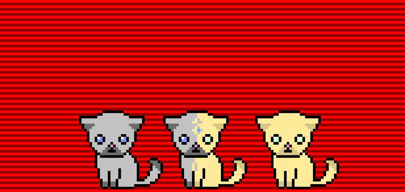 [9664c4] Cat of Dimensions