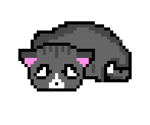 sick Cat 2