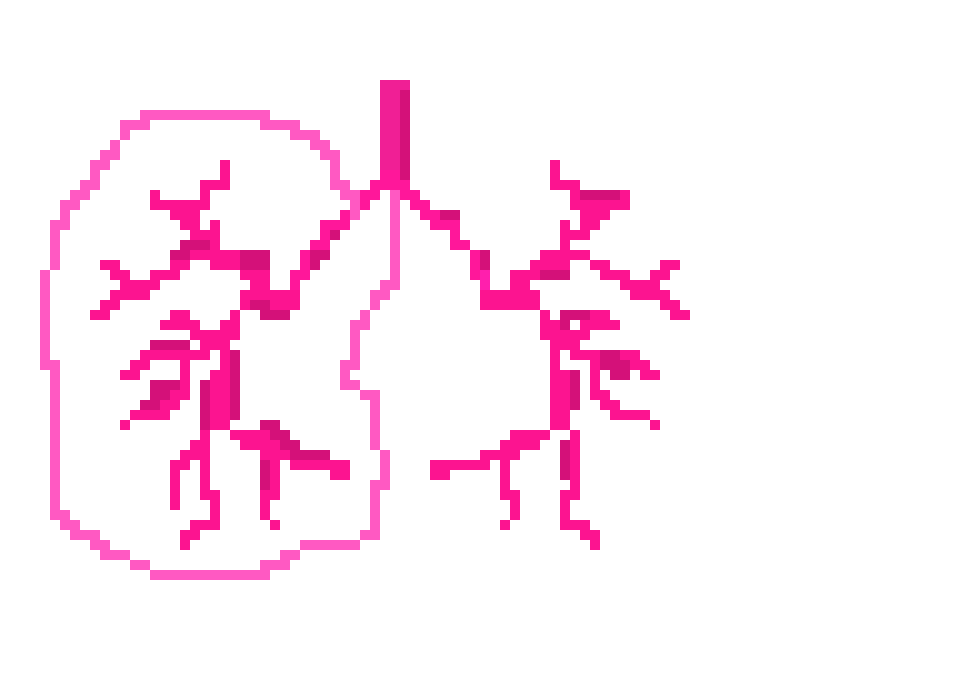[401978] PIXEL LUNG CHarlotte