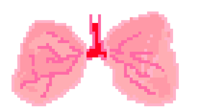 [6e15bf] Lungs