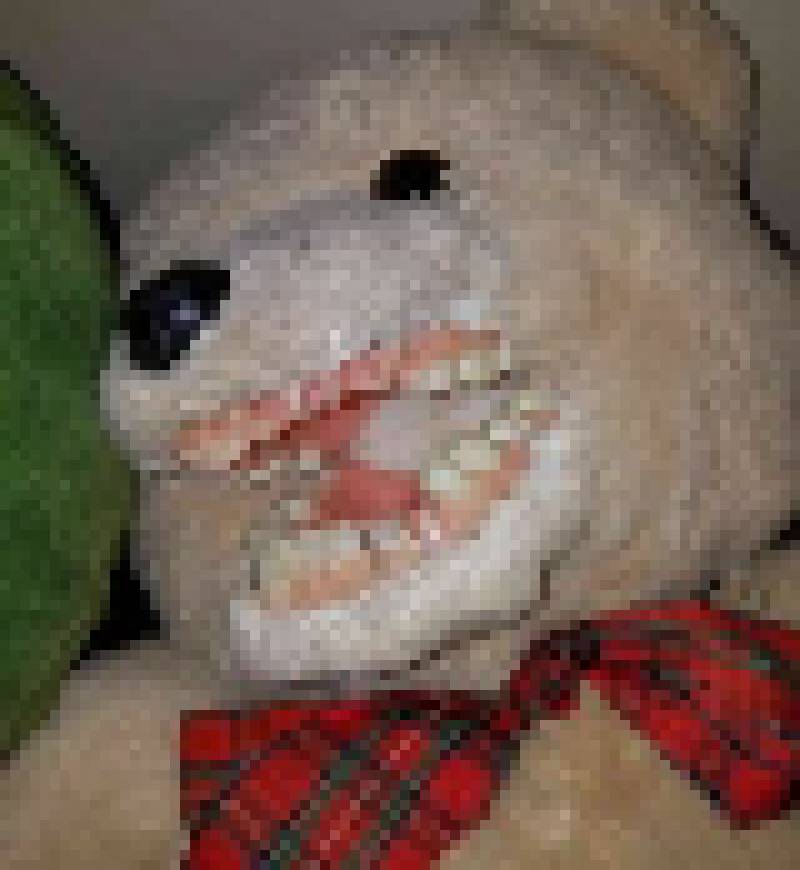 [990543] Toothy Bear (Free to Use)